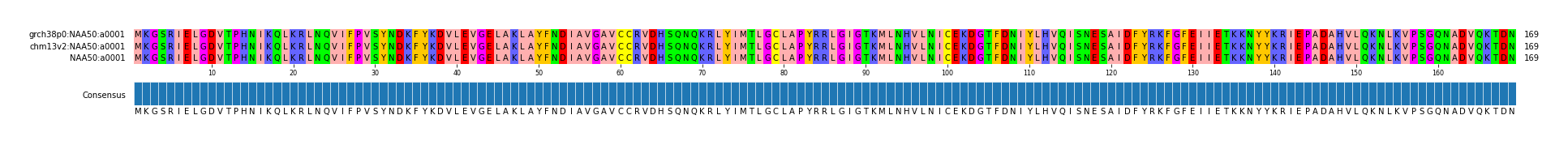 Multiple Alignments (by translate haplotype similarity)