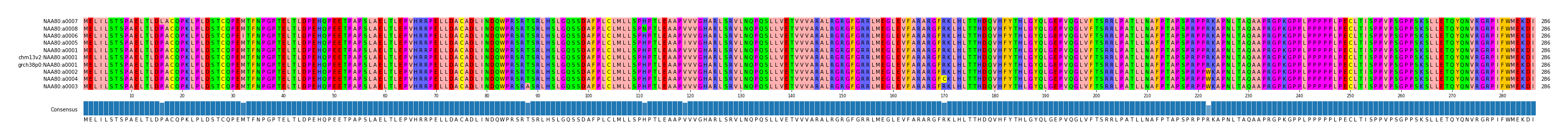 Multiple Alignments (by translate haplotype similarity)
