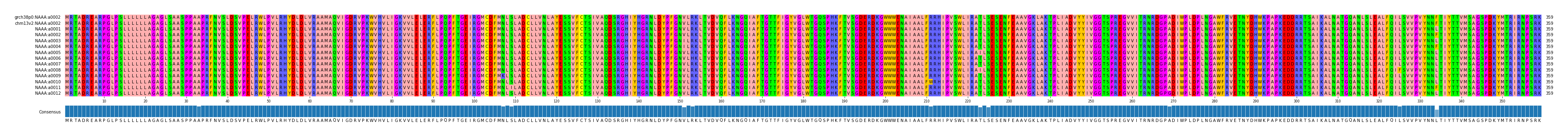 Multiple Alignments (by translate haplotype frequency)