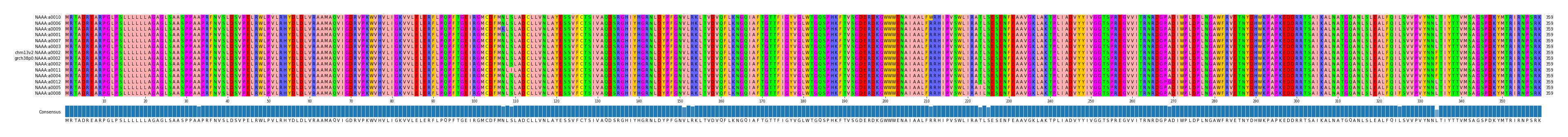 Multiple Alignments (by translate haplotype similarity)