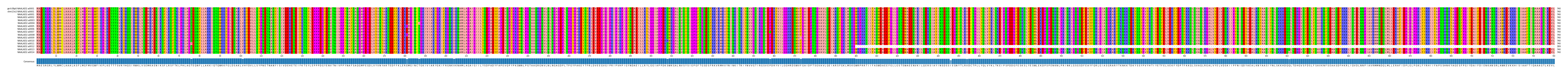 Multiple Alignments (by translate haplotype frequency)
