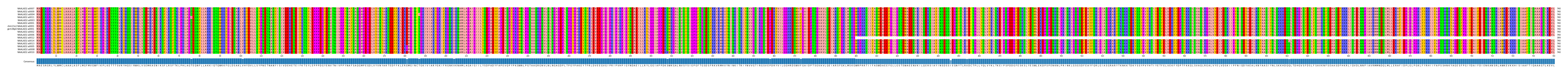 Multiple Alignments (by translate haplotype similarity)
