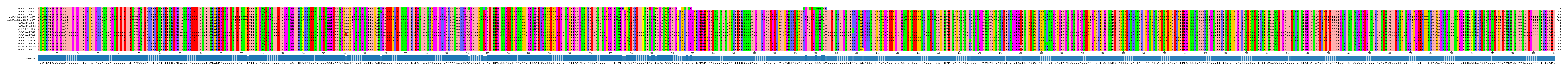 Multiple Alignments (by translate haplotype similarity)