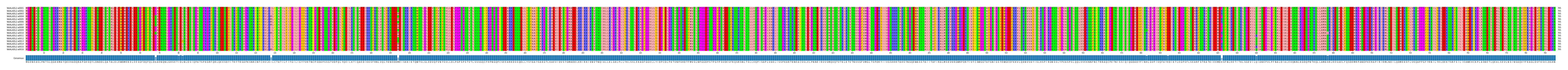 Multiple Alignments (by translate haplotype frequency)