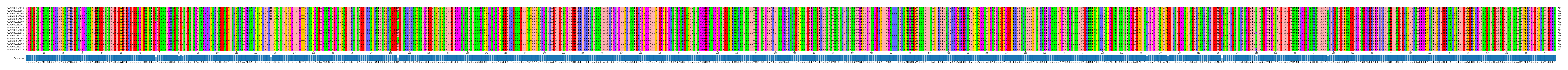 Multiple Alignments (by translate haplotype similarity)