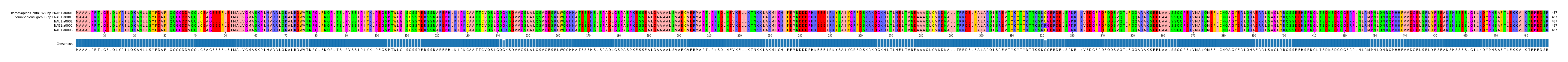 Multiple Alignments (by translate haplotype frequency)
