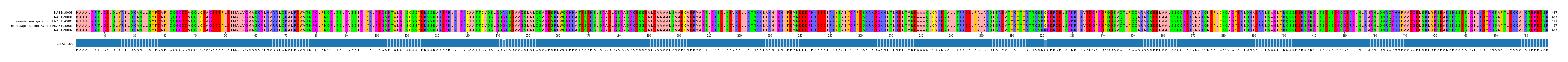 Multiple Alignments (by translate haplotype similarity)