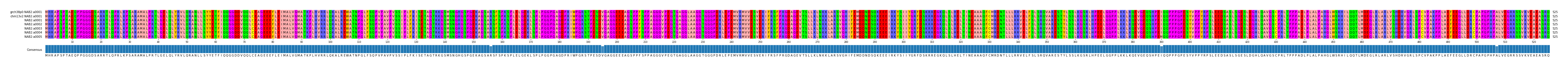 Multiple Alignments (by translate haplotype frequency)