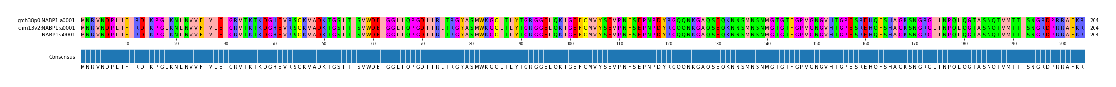 Multiple Alignments (by translate haplotype frequency)