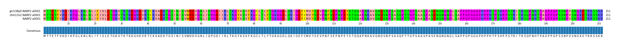 Multiple Alignments (by translate haplotype similarity)