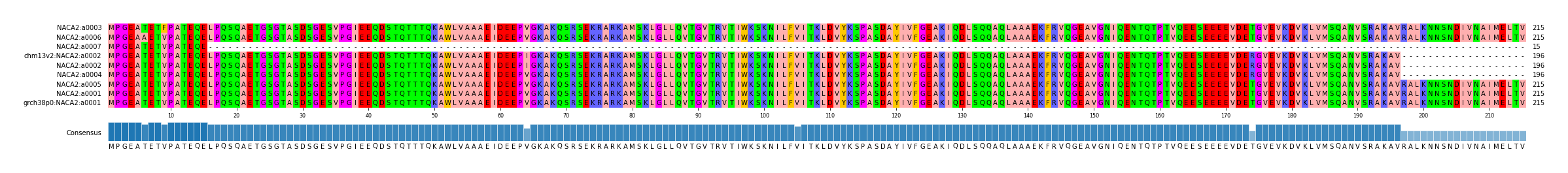 Multiple Alignments (by translate haplotype similarity)