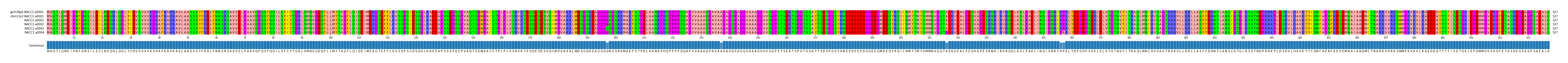 Multiple Alignments (by translate haplotype frequency)