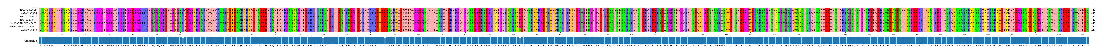 Multiple Alignments (by translate haplotype similarity)