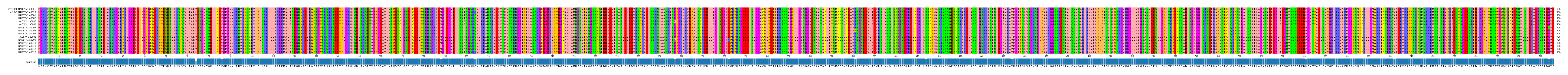 Multiple Alignments (by translate haplotype frequency)