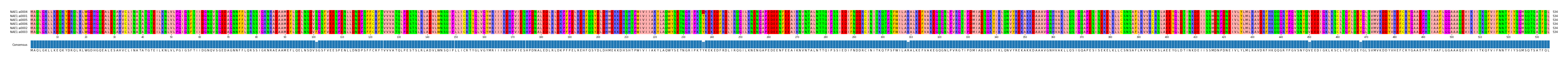 Multiple Alignments (by translate haplotype similarity)