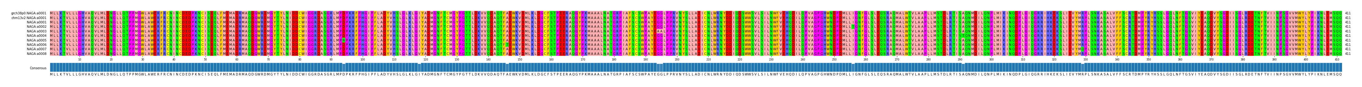 Multiple Alignments (by translate haplotype frequency)