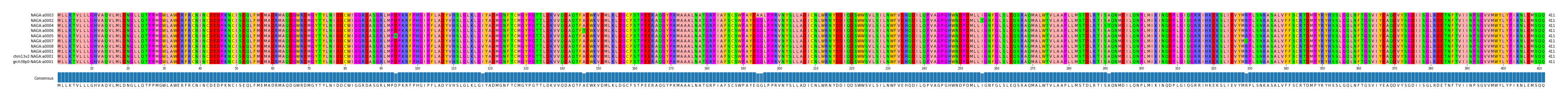 Multiple Alignments (by translate haplotype similarity)