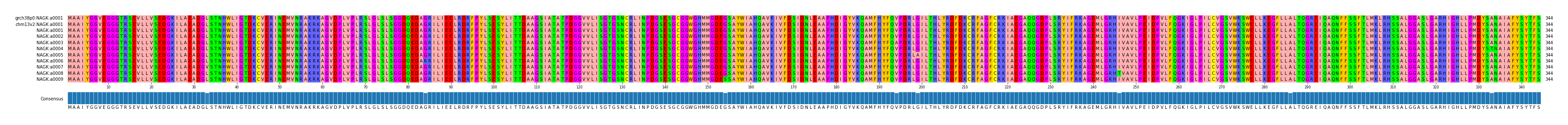 Multiple Alignments (by translate haplotype frequency)