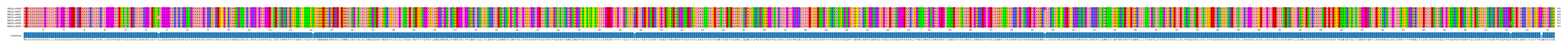 Multiple Alignments (by translate haplotype similarity)