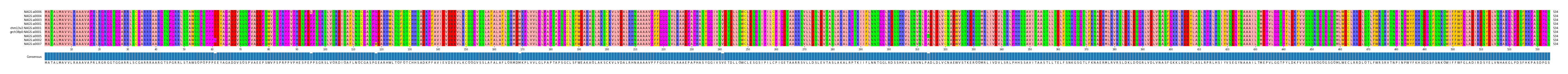 Multiple Alignments (by translate haplotype similarity)