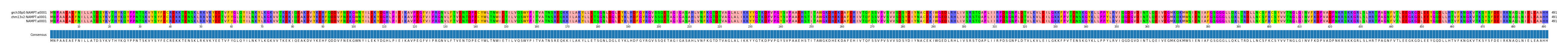 Multiple Alignments (by translate haplotype similarity)