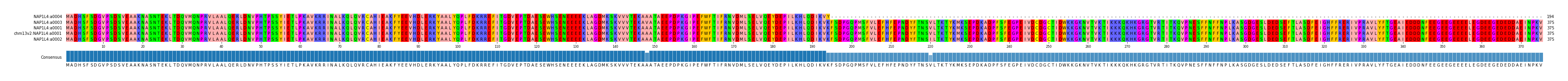 Multiple Alignments (by translate haplotype similarity)