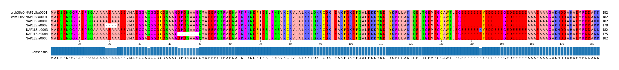 Multiple Alignments (by translate haplotype frequency)