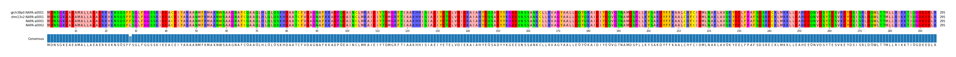 Multiple Alignments (by translate haplotype similarity)