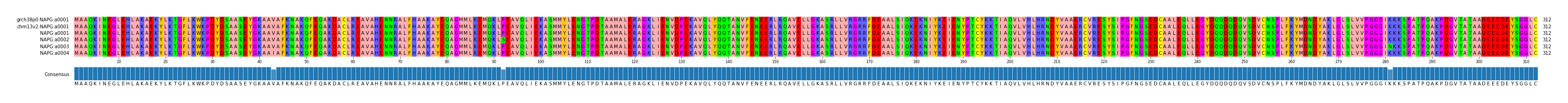 Multiple Alignments (by translate haplotype frequency)