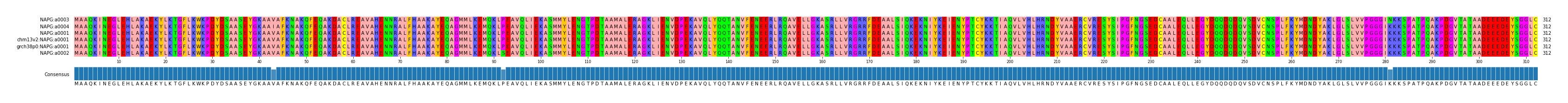 Multiple Alignments (by translate haplotype similarity)