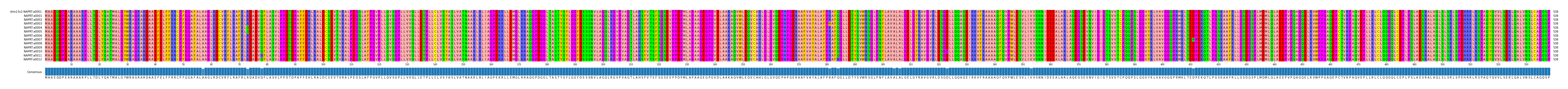 Multiple Alignments (by translate haplotype frequency)