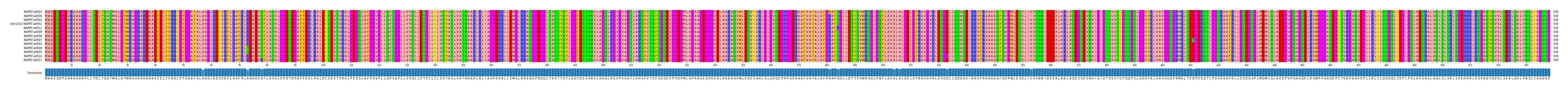 Multiple Alignments (by translate haplotype similarity)