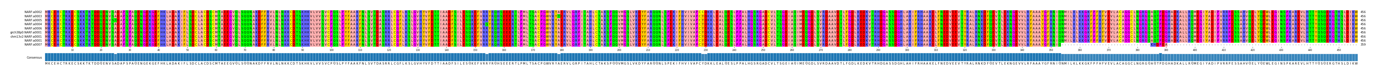 Multiple Alignments (by translate haplotype similarity)