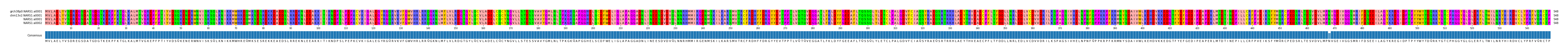Multiple Alignments (by translate haplotype similarity)