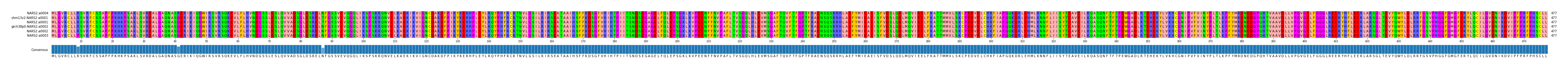 Multiple Alignments (by translate haplotype similarity)