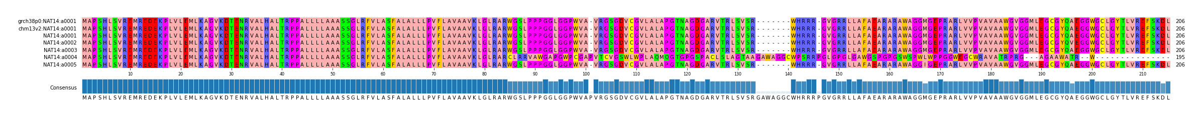 Multiple Alignments (by translate haplotype frequency)