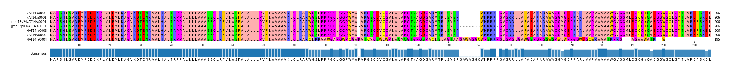Multiple Alignments (by translate haplotype similarity)
