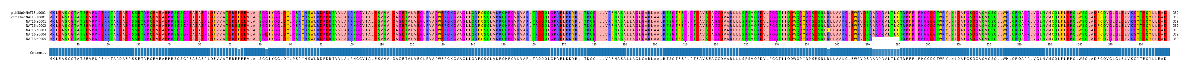 Multiple Alignments (by translate haplotype frequency)