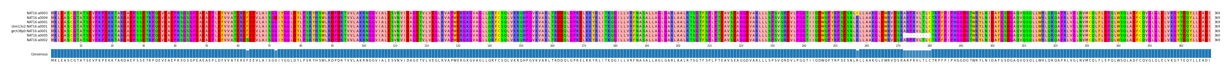 Multiple Alignments (by translate haplotype similarity)