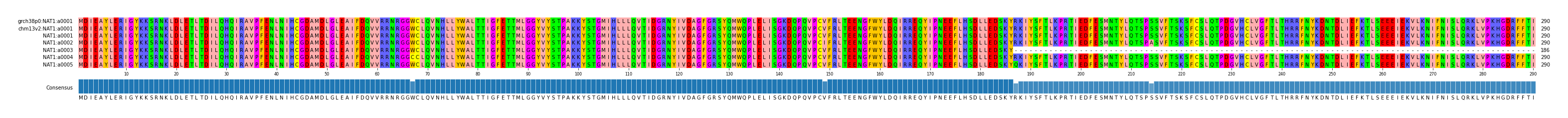 Multiple Alignments (by translate haplotype frequency)