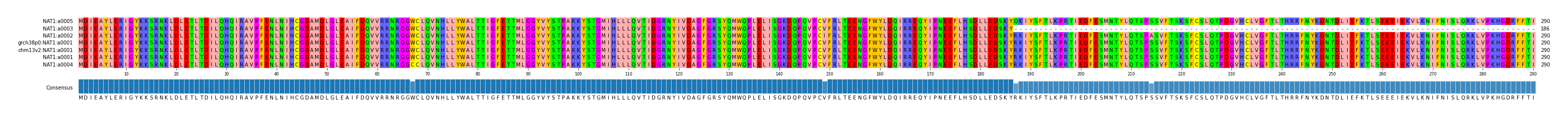 Multiple Alignments (by translate haplotype similarity)