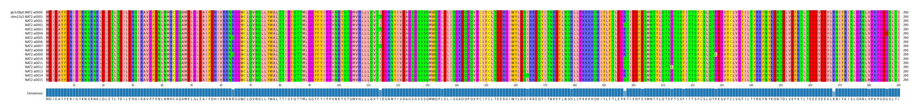 Multiple Alignments (by translate haplotype frequency)