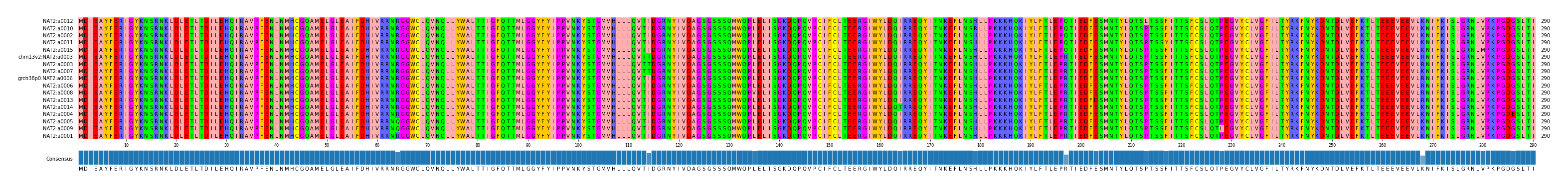 Multiple Alignments (by translate haplotype similarity)