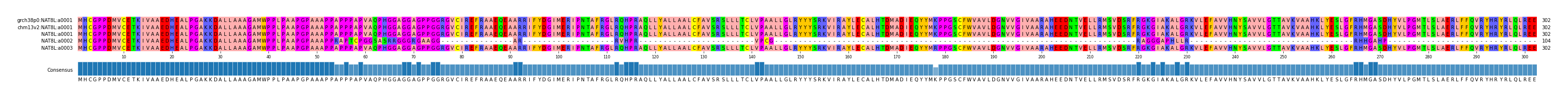 Multiple Alignments (by translate haplotype frequency)