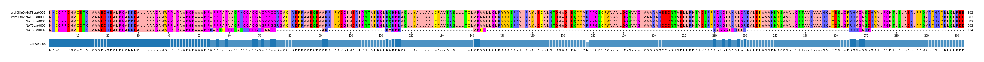 Multiple Alignments (by translate haplotype similarity)
