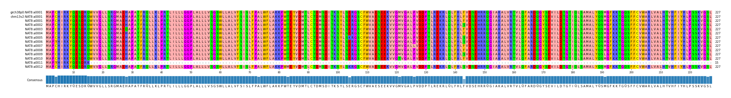 Multiple Alignments (by translate haplotype frequency)