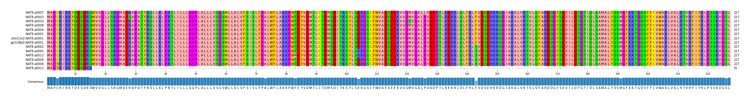 Multiple Alignments (by translate haplotype similarity)