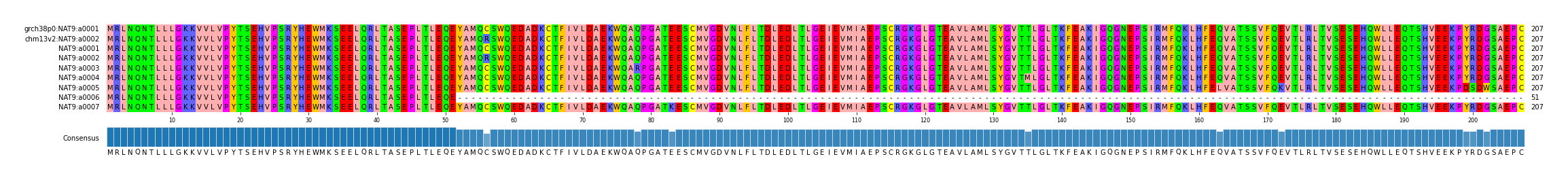 Multiple Alignments (by translate haplotype frequency)