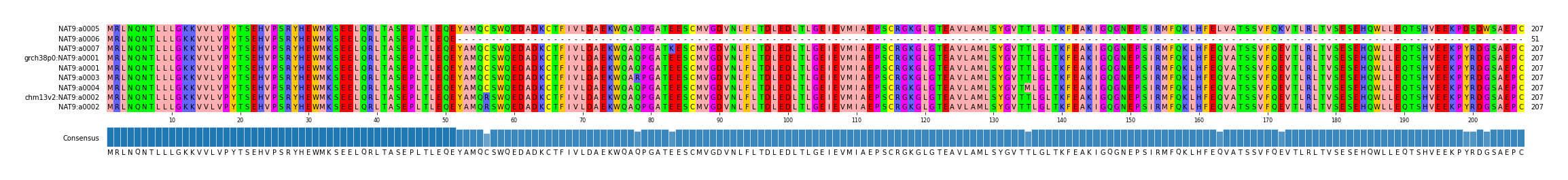 Multiple Alignments (by translate haplotype similarity)