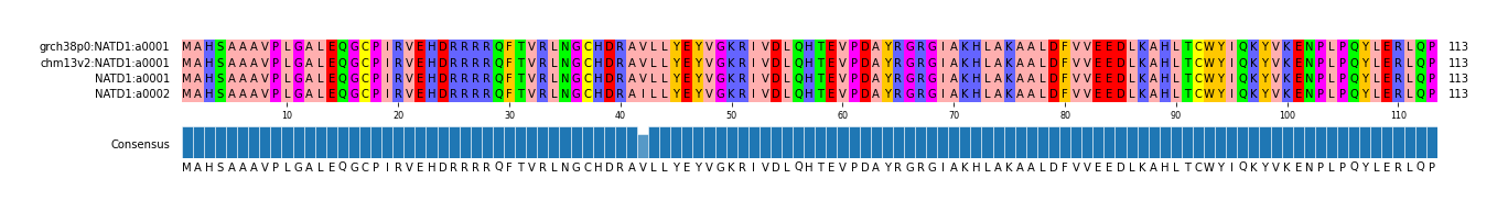 Multiple Alignments (by translate haplotype similarity)
